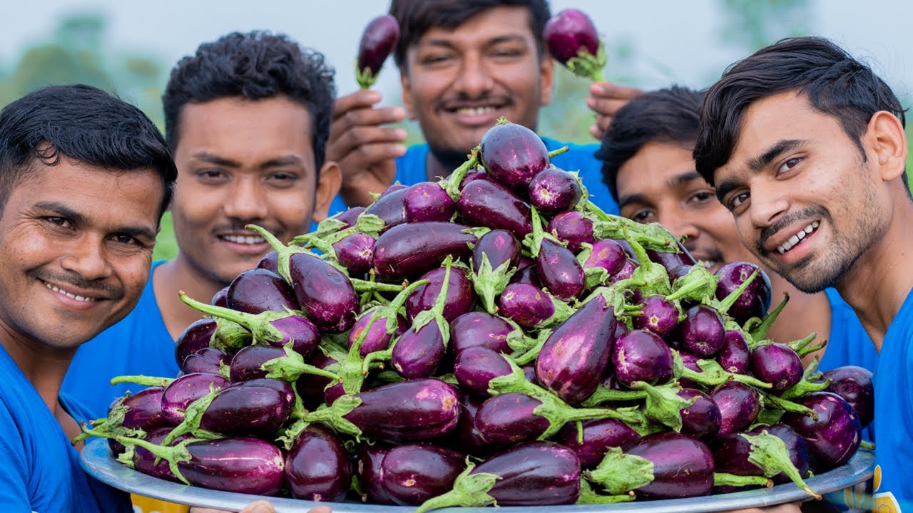 BRINJAL MASALA | Fresh Brinjal Recipe | Brinjal Rice | Village Rasoi