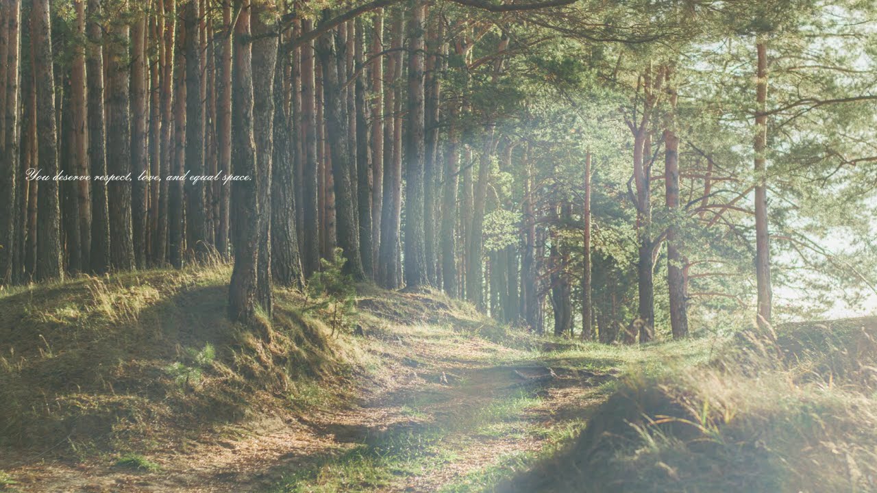 Daily Positive Affirmations 🌲✨ | Relaxing Piano & Forest Magic 