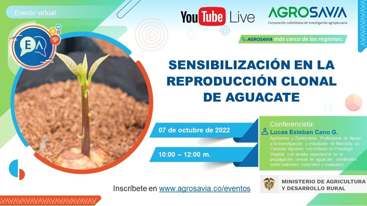 Sensibilización en la reproducción clonal de aguacate