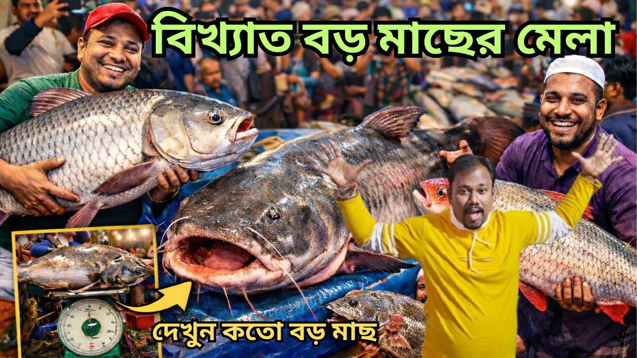 ব্যান্ডেল উত্তারায়ন মাছের মেলার 500 বছরের রহস্য উদঘাটন