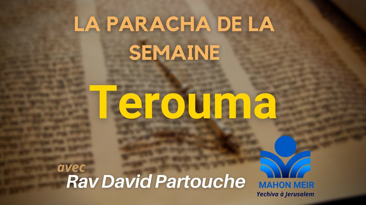 "La maison de l'Alliance" - Paracha Terouma | Rav David Partouche.