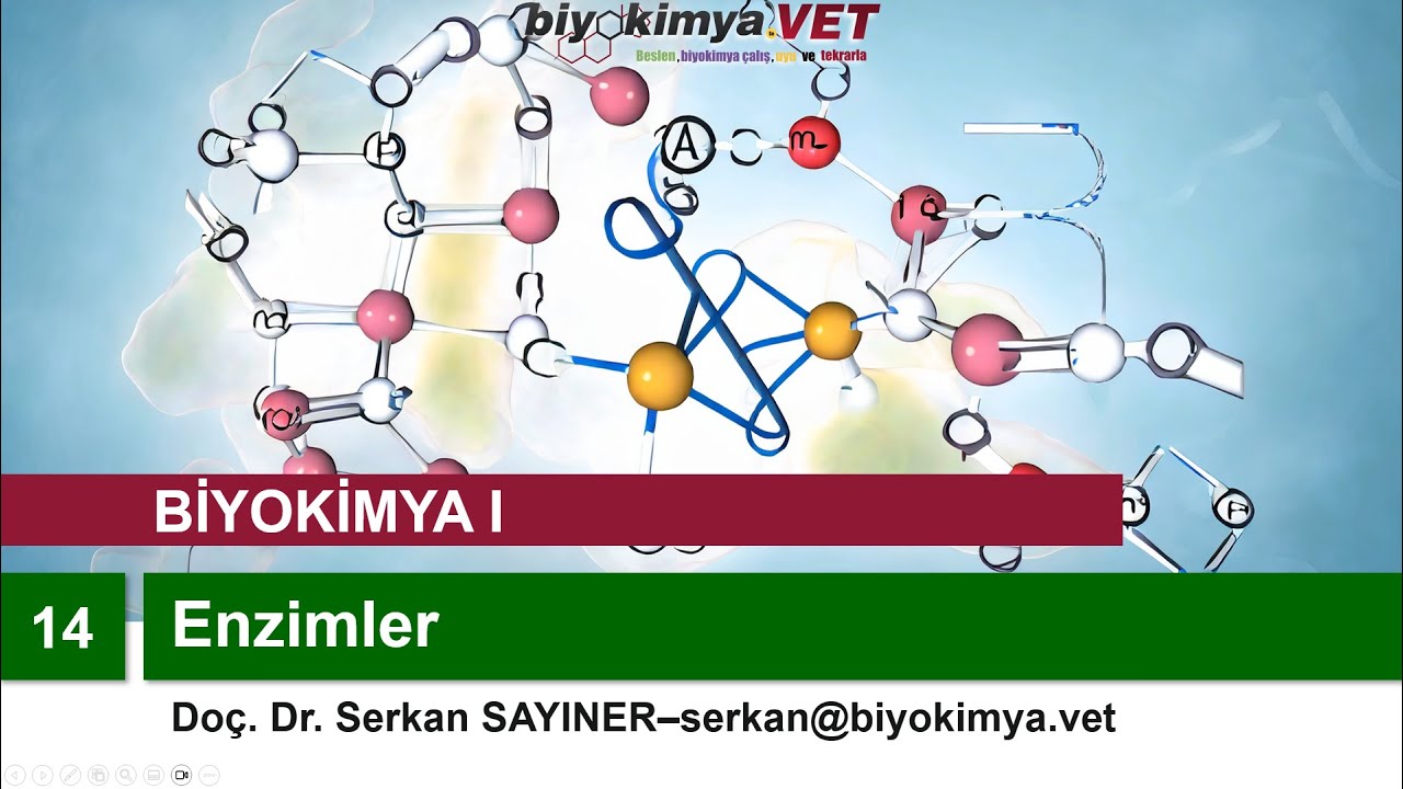 BİYOKİMYA-I | Konu 14: Enzimler