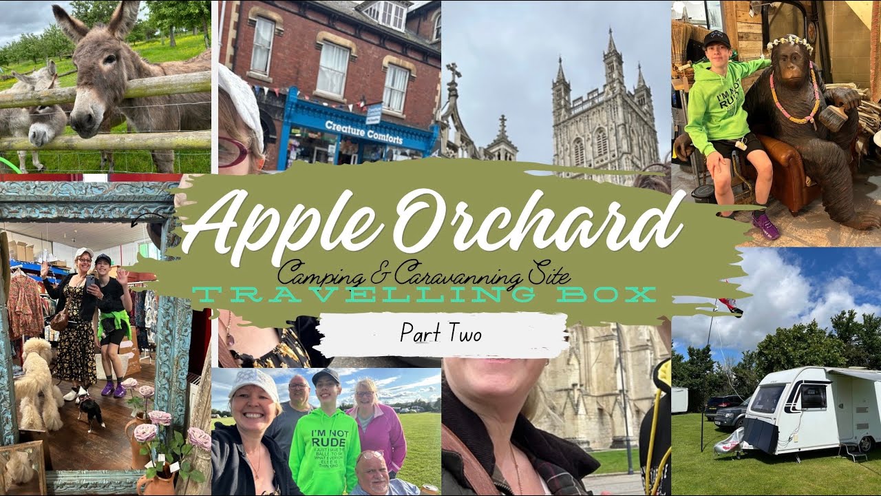 Apple Orchard: Part Two