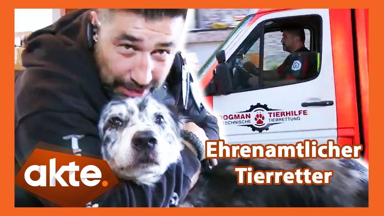 Hund rettet Herrchen vorm Tod - zum Dank ist Marcus heute als Tierretter im Einsatz | Akte | SAT.1