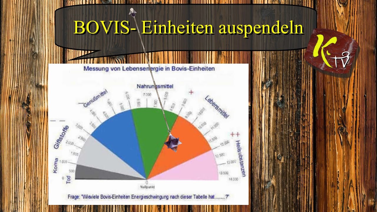 Bovis- Einheiten auspendeln - Ing. Herbert Glantschnig zeigts vor.