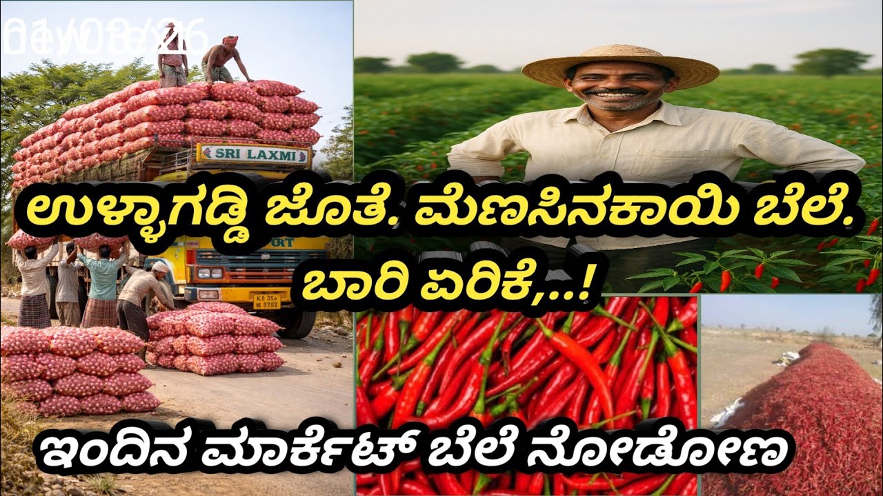 ಉಳ್ಳಾಗಡ್ಡಿ ಜೊತೆ ಮೆಣಸಿನಕಾಯಿ ಬೆಲೆ ಭಾರಿ ಏರಿಕೆ...! ಇಂದಿನ ಮಾರ್ಕೆಟ್ ಬೆಲೆ ನೋಡೋಣ!!!