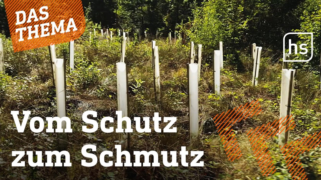 Gut gemeint, schlecht gemacht: Die Plastikfalle im Wald | hessenschau DAS THEMA