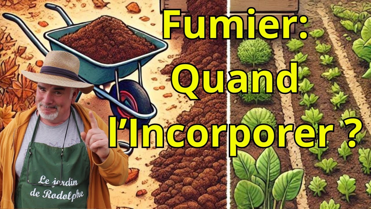 Faut-il Incorporer Son Fumier Avant l’Hiver ou Pendant la Culture ?