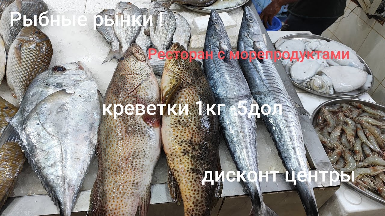 2.Фуджейра рыбные,фруктовые рынки ,цены.Едим морепродукты.Дисконт центры в Обмен валюты.