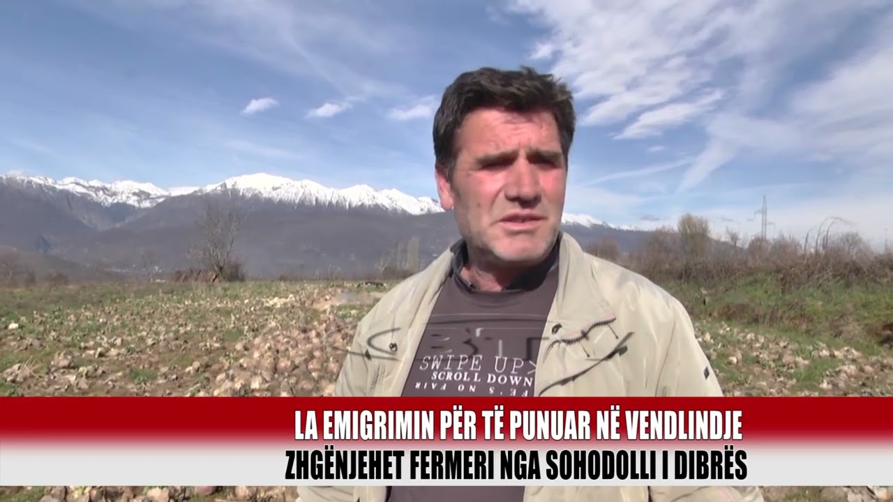Kalbet lakra ne Sohodoll të Dibrës       - Bulqiza Tv