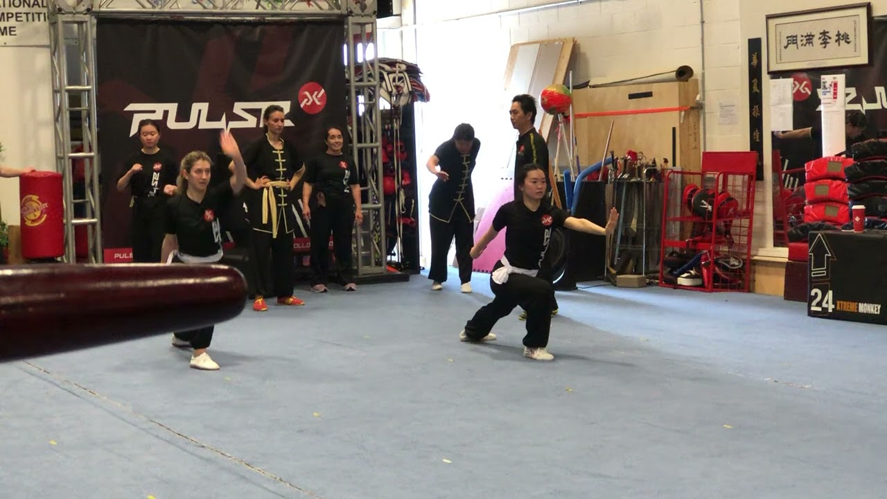 Martial Arts Training - Wushu Handform