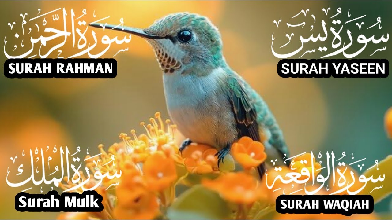 Heart Soothing Quran Recitation❤️Surah Yaseen❤️Surah Rahman❤️Surah Mulk❤️Surah Waqia❤️#qurantilawat
