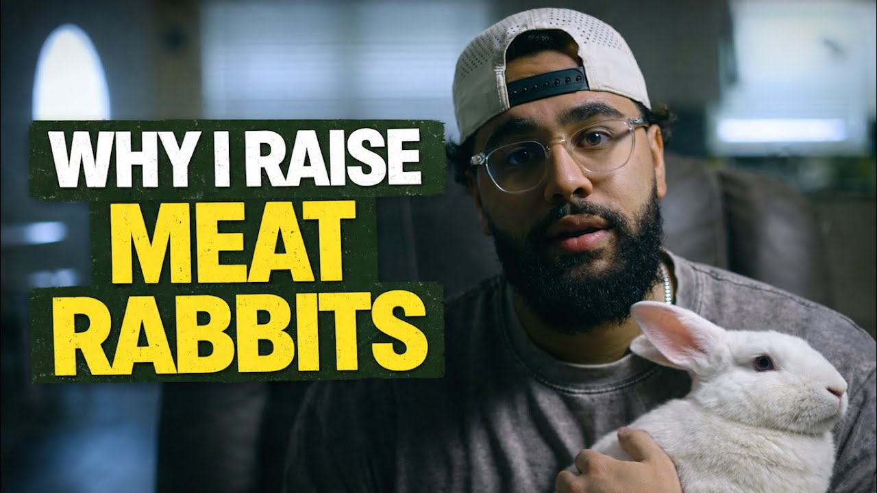 Why I Raise Meat Rabbits