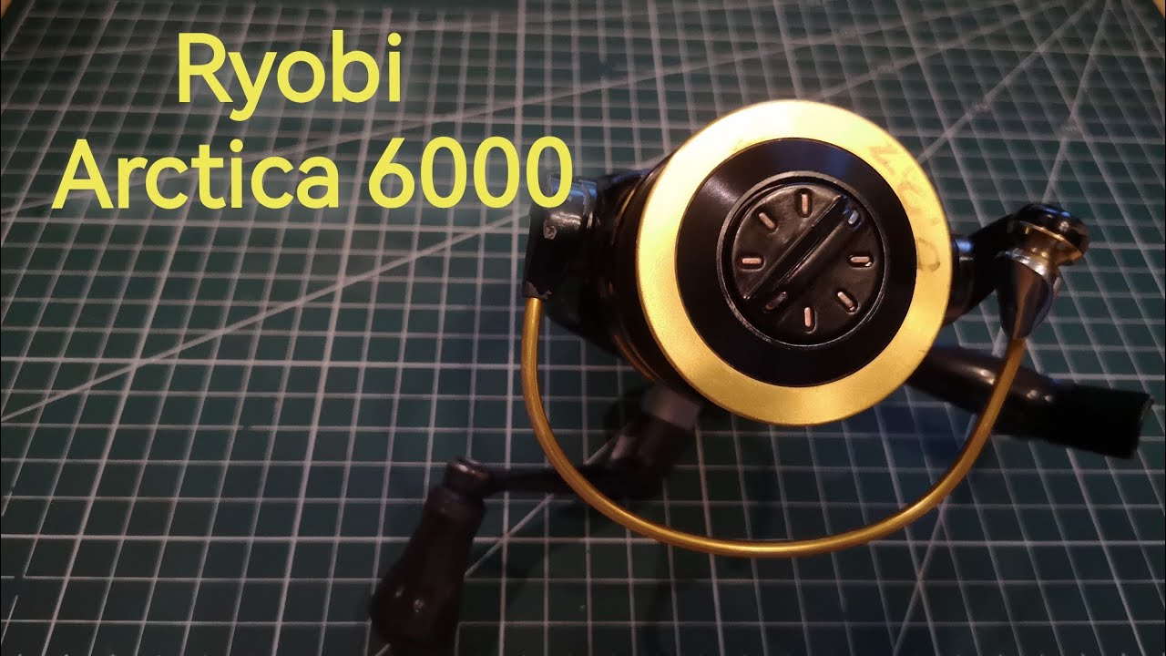 Ryobi Arctica 6000 service + fixed