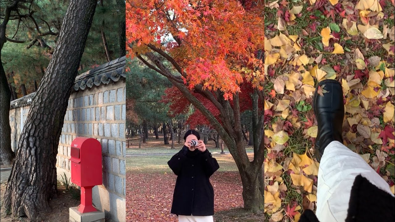 [경주] 겨울에 보는 가을 경주 | 늦었지만 4주년