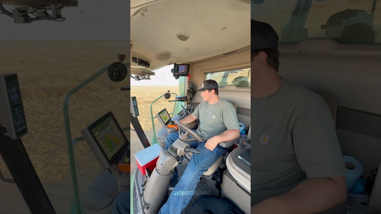 Full Day As A Custom Harvester!