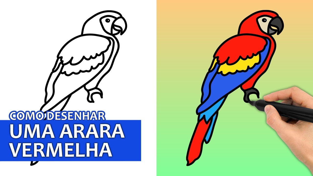 Como Desenhar Uma Arara Vermelha | Tutorial De Desenho Fácil Passo A Passo