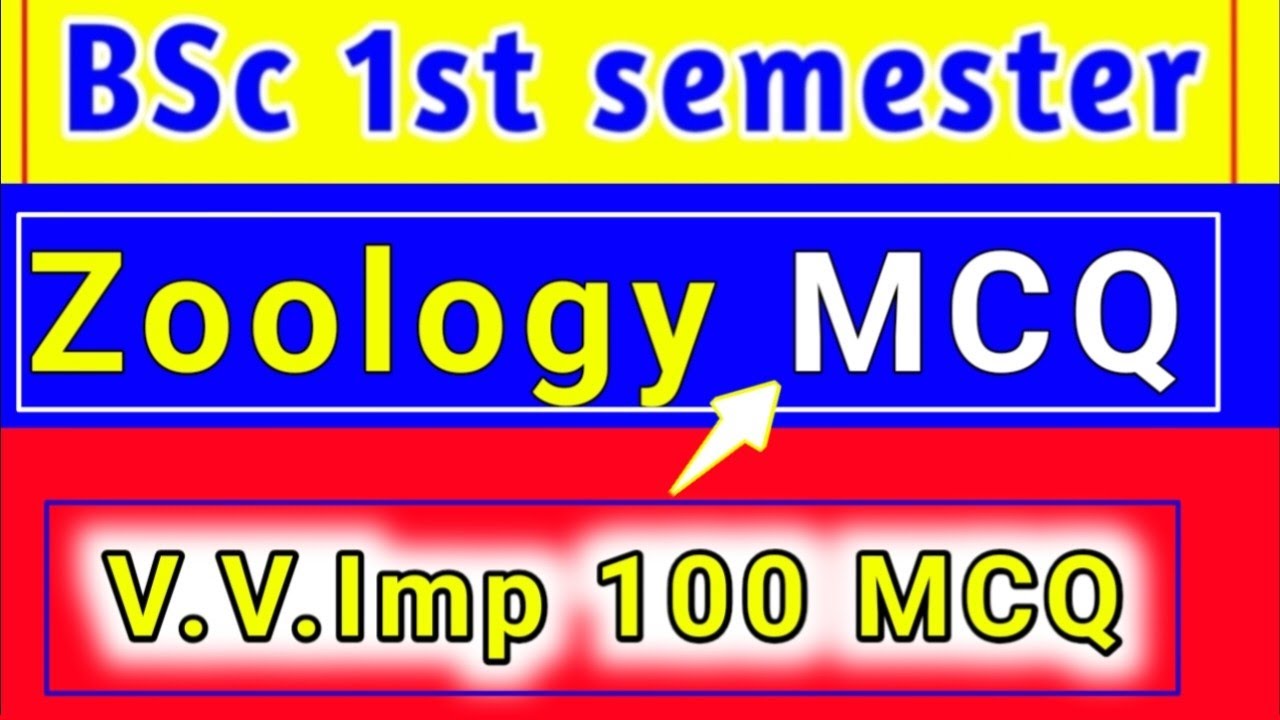  Objective Question Paper | Most Important MCQ 