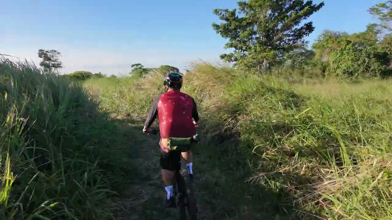 The Trails Nuvali - Beginner Line