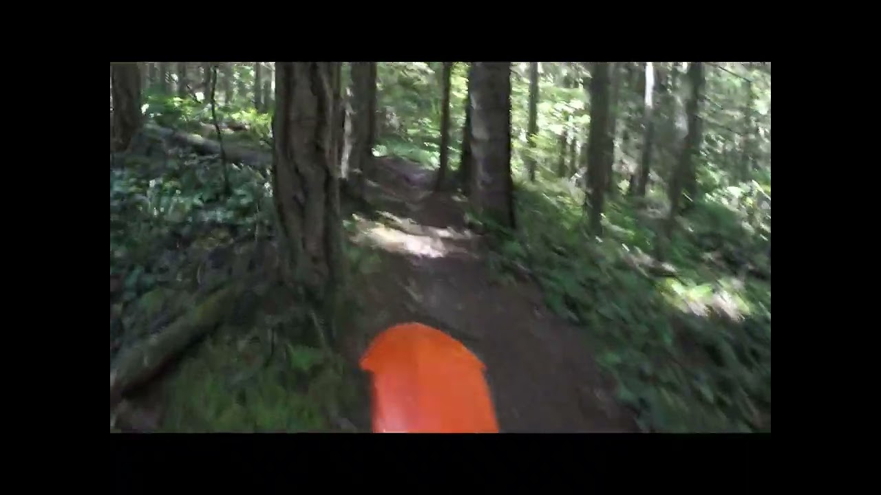 Sunny Single Track