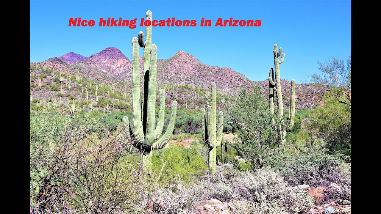 Cave Creek Regional Park and Spur Cross Ranch