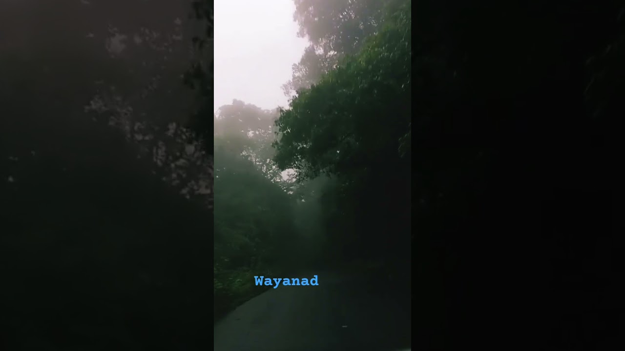 click under Wayanad to see more#musicproducer #music #instrumental #song #lifeisbutadream