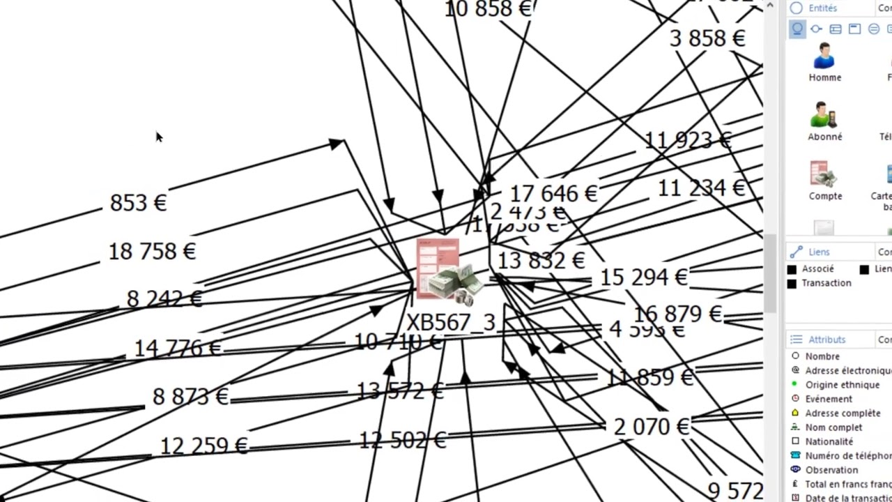 i2 Analyst's Notebook - Analyser des Transactions Financières