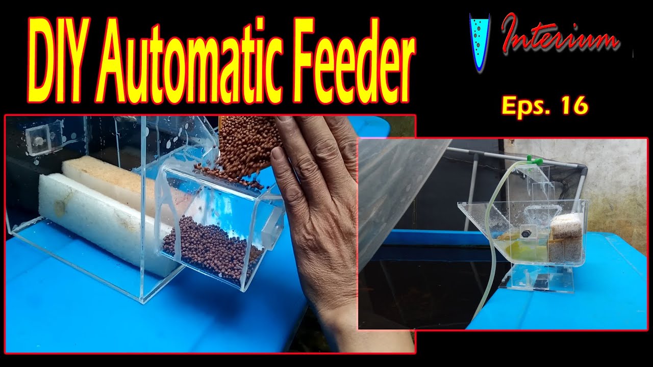 Eps. 16 : DIY Automatic Fish Feeder