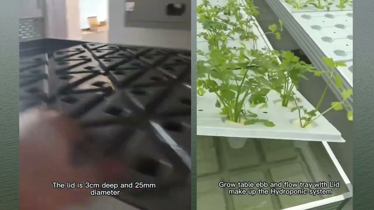 Hydroponic flood tray grow table with Lid.