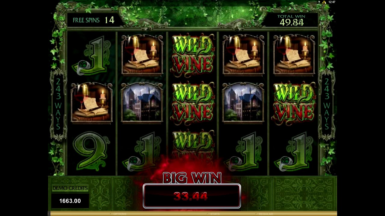 Immortal Romance Slot Sarah Free Spins, Big Win