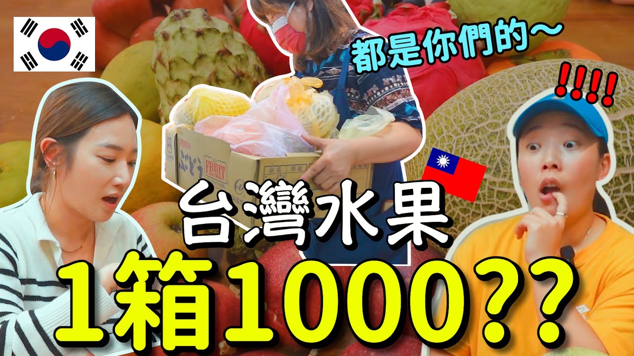 韓國女生第一次吃台灣水果。在台灣的最後一晚。 대만 과일 도매시장, 이게 전부 4만원이라고?