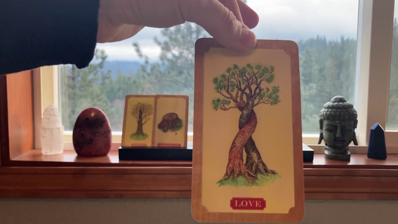 Solar eclipse and 12/12 portal reading: Let love in and embrace all of your power