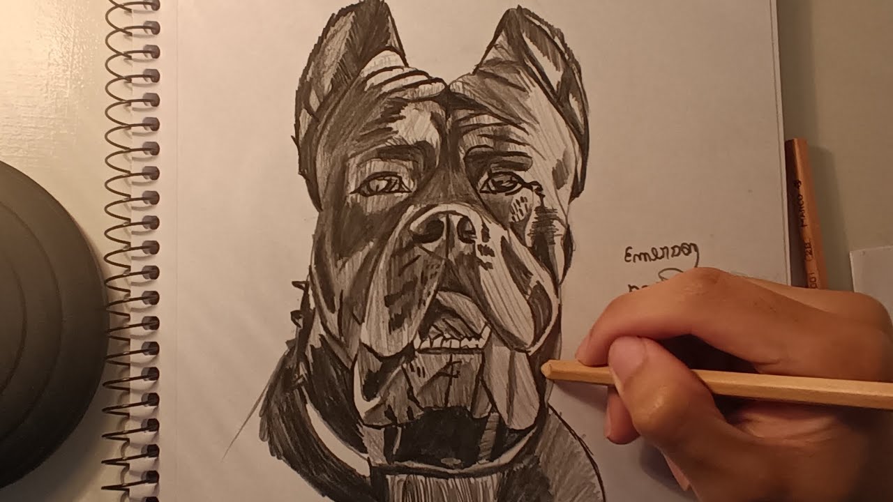 COMO DESENHAR UM CACHORRO CANE CORSO | SKETCH TUTORIAL