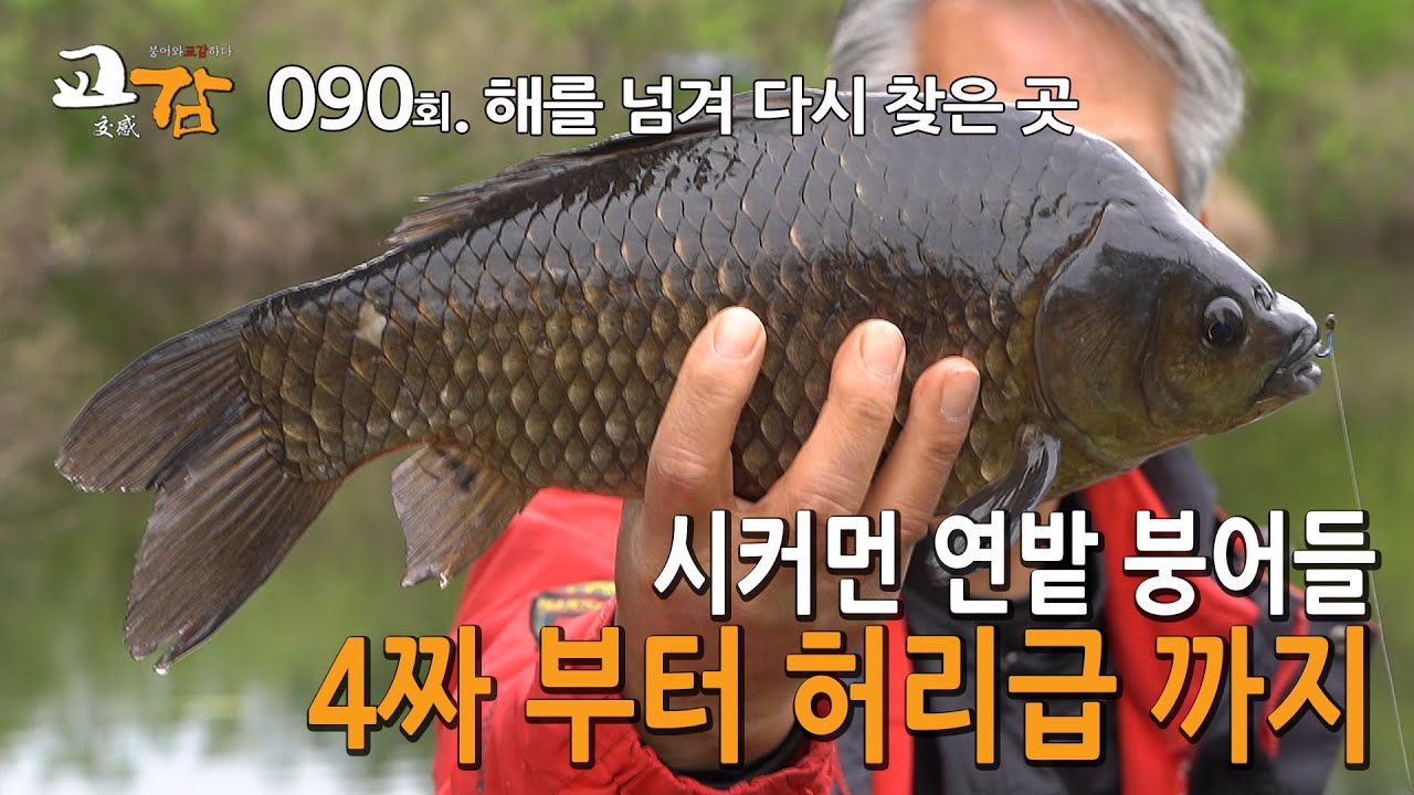 이스케이프 [교감TV] 90회 - 의암호 중도 둠벙 편 / 바람이 안타는 곳, 고즈넉한 내륙의 섬 붕어낚시