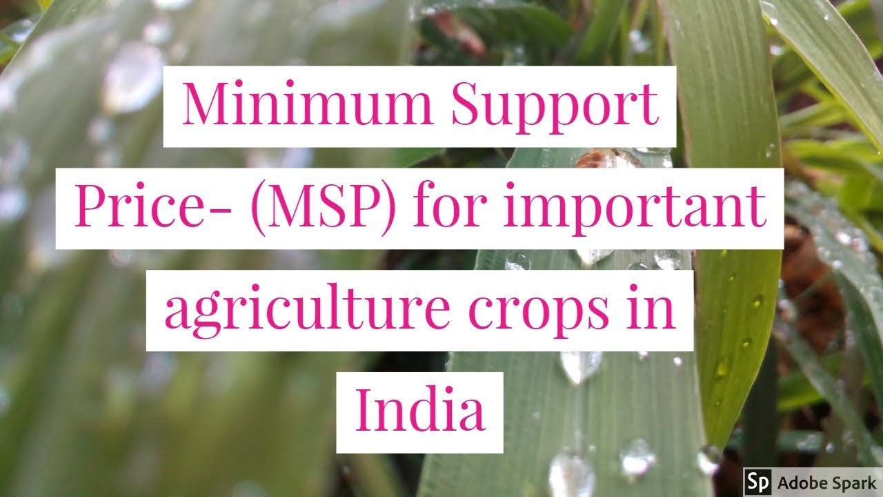 Minimum Support Price- MSP  for important agriculture crops in India
