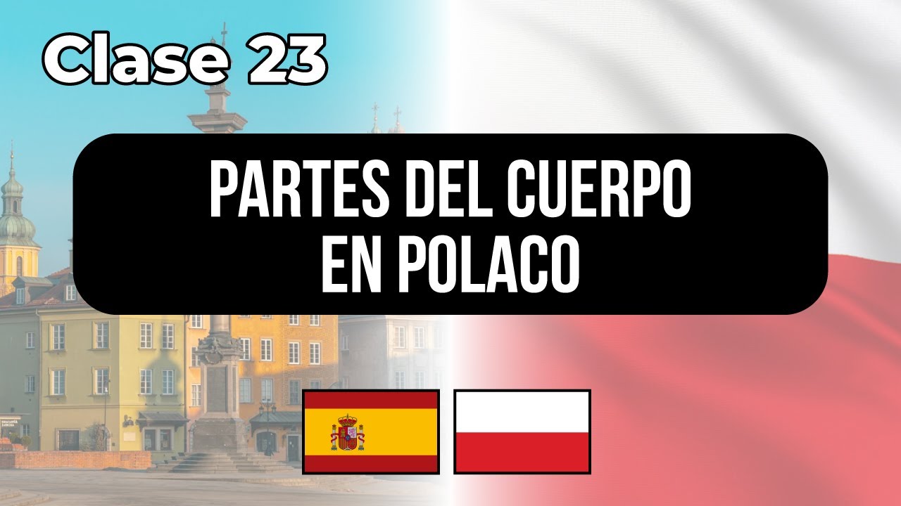 Partes del cuerpo en POLACO - Clase #23 👉 Lecciones para hispanohablantes