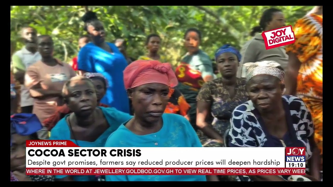Despite govt promises, farmers say reduced producer producers prices will deepen hardship