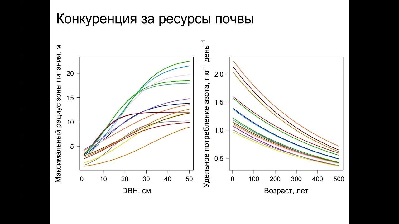 Шанин В.Н., Фролов П.В. Система моделей лесных экосистем EFIMOD3