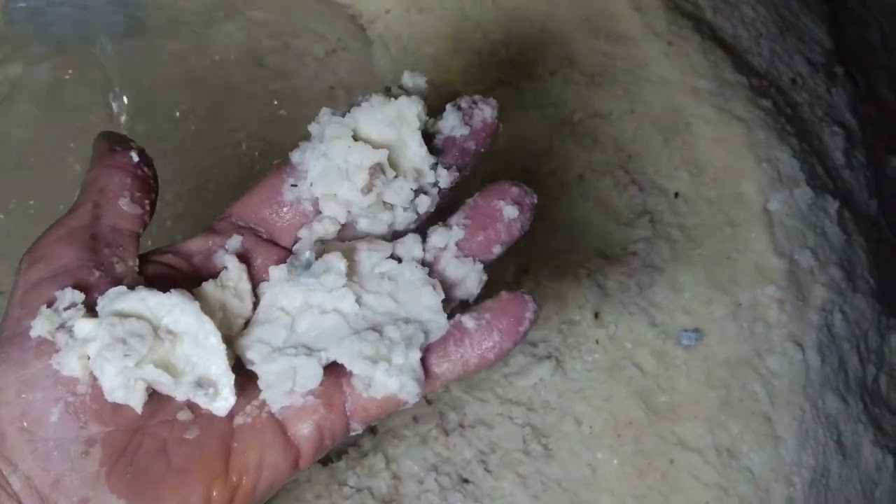 Во что я засунула руку 🤢 Абриль Майн, Аризона