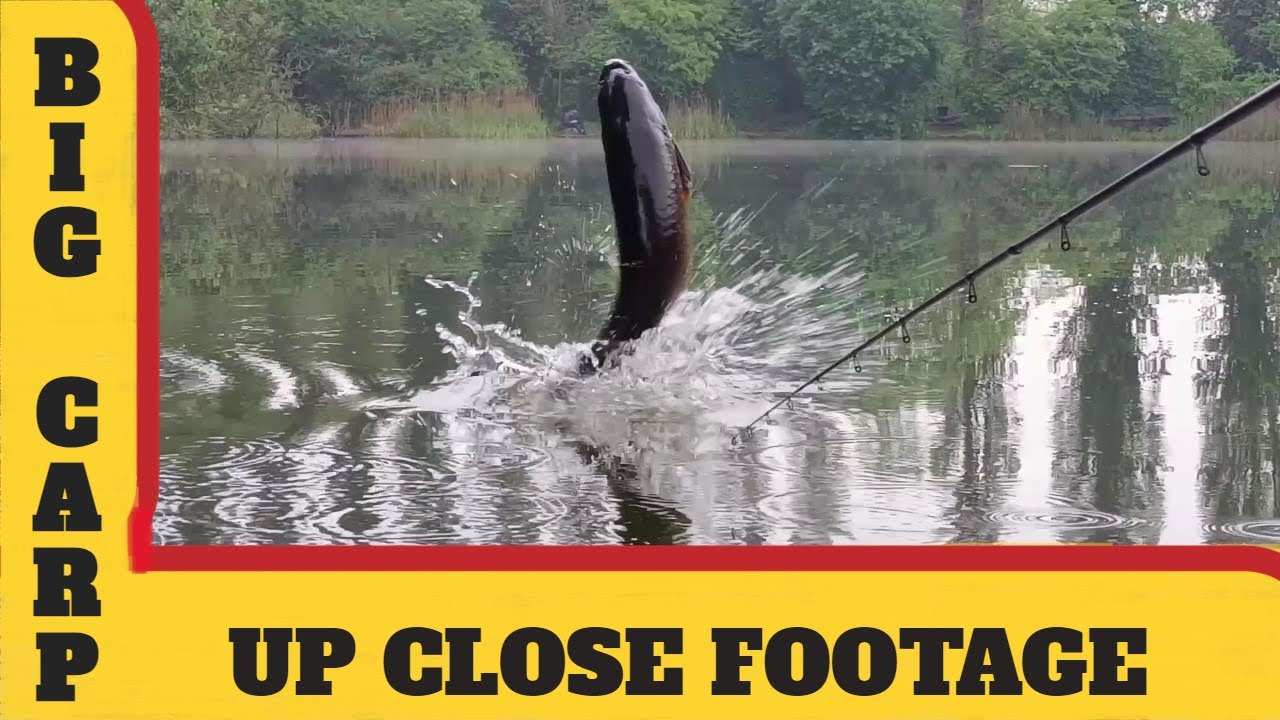 Coarse fishing in Lincolnshire at peacock waters