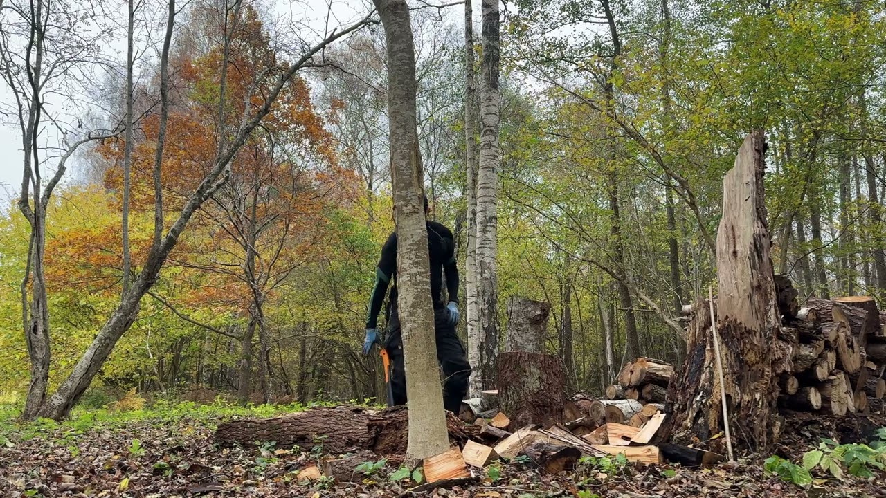 making firewood with an axe (cortar leña), autumn colours..