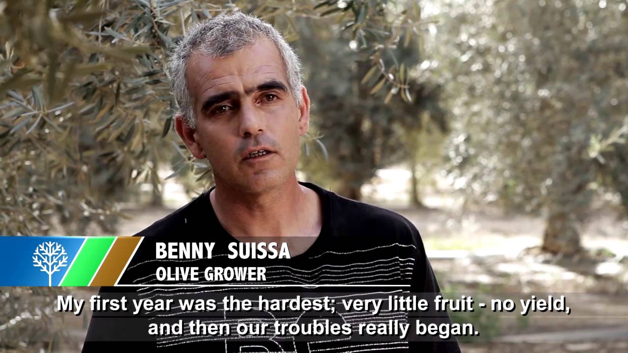 Agriculture in the Negev Desert