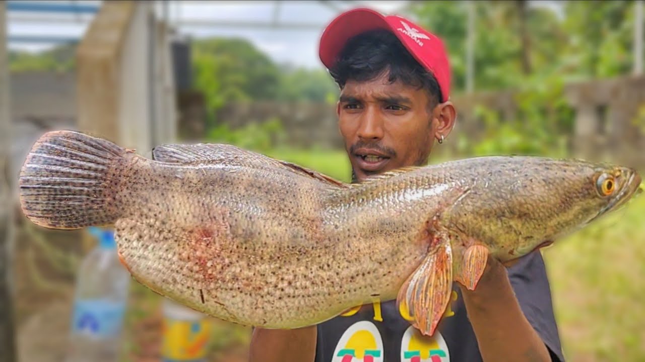 HUNTING FINISHED|മണൽ വാഗയെ പിടിച്ചു മണലിൽ വറത്തു 