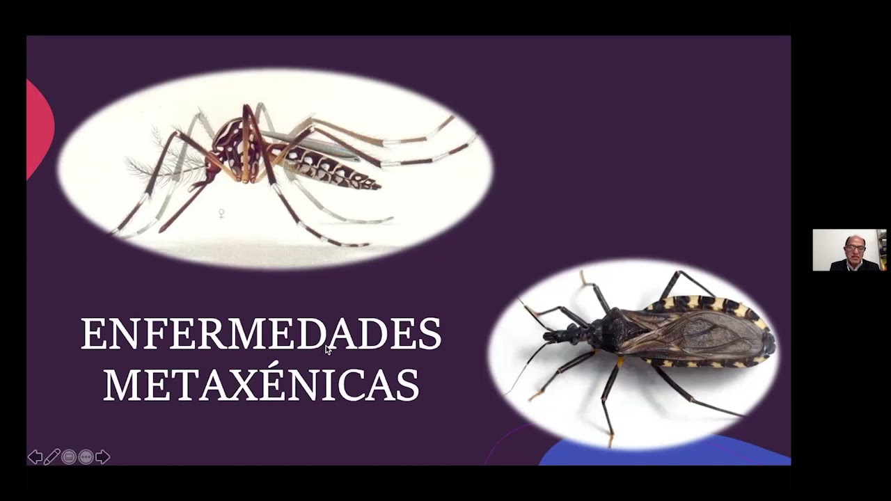 Enfermedades Zoonóticas y Metaxénicas