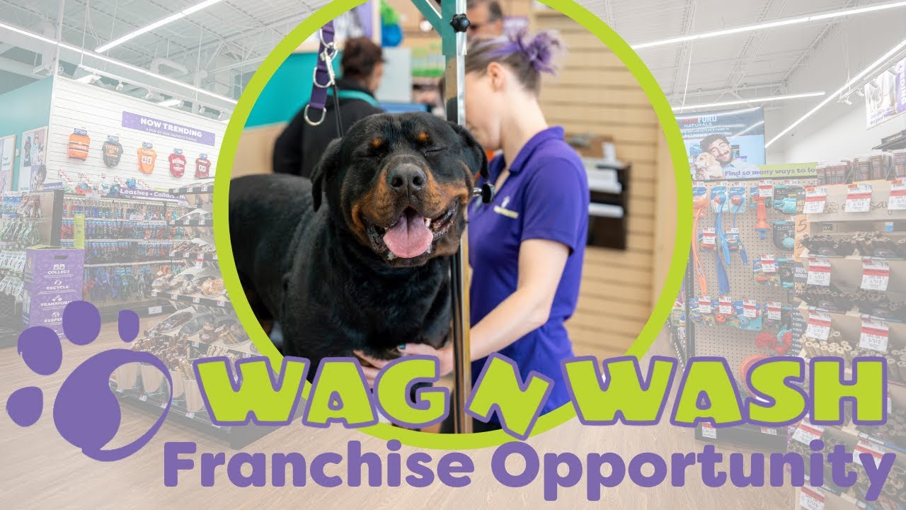 Wag N' Wash Franchise Opportunity