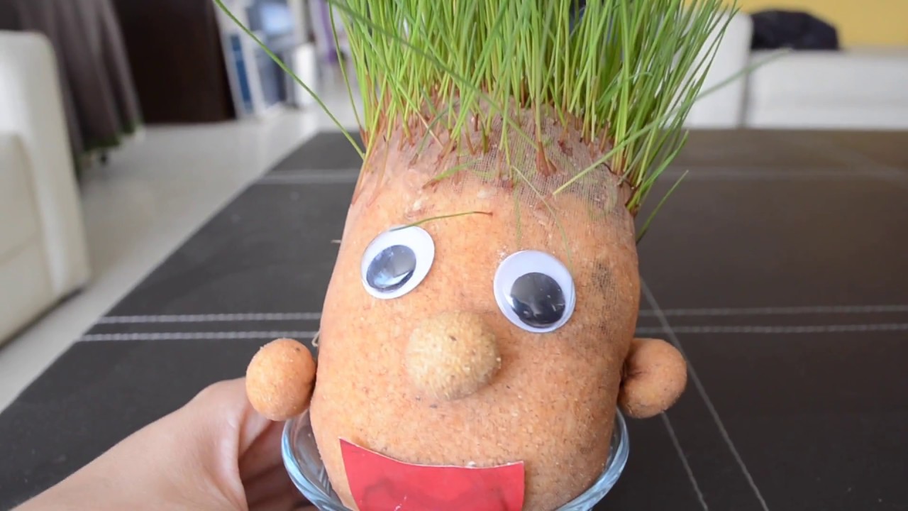 ¿Como hacer un muñeco Cabeza de pasto?
