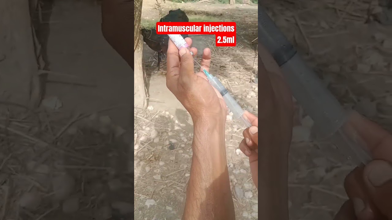 Conceptal injection use in animals /repeat breeding 💯✅