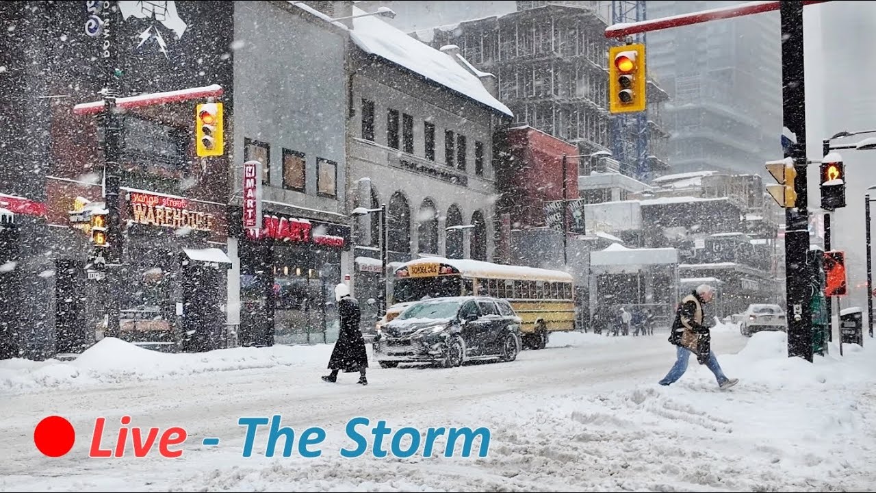 🔴 Toronto Live - Winter Snow Storm in Toronto Downtown - February 16, 2025