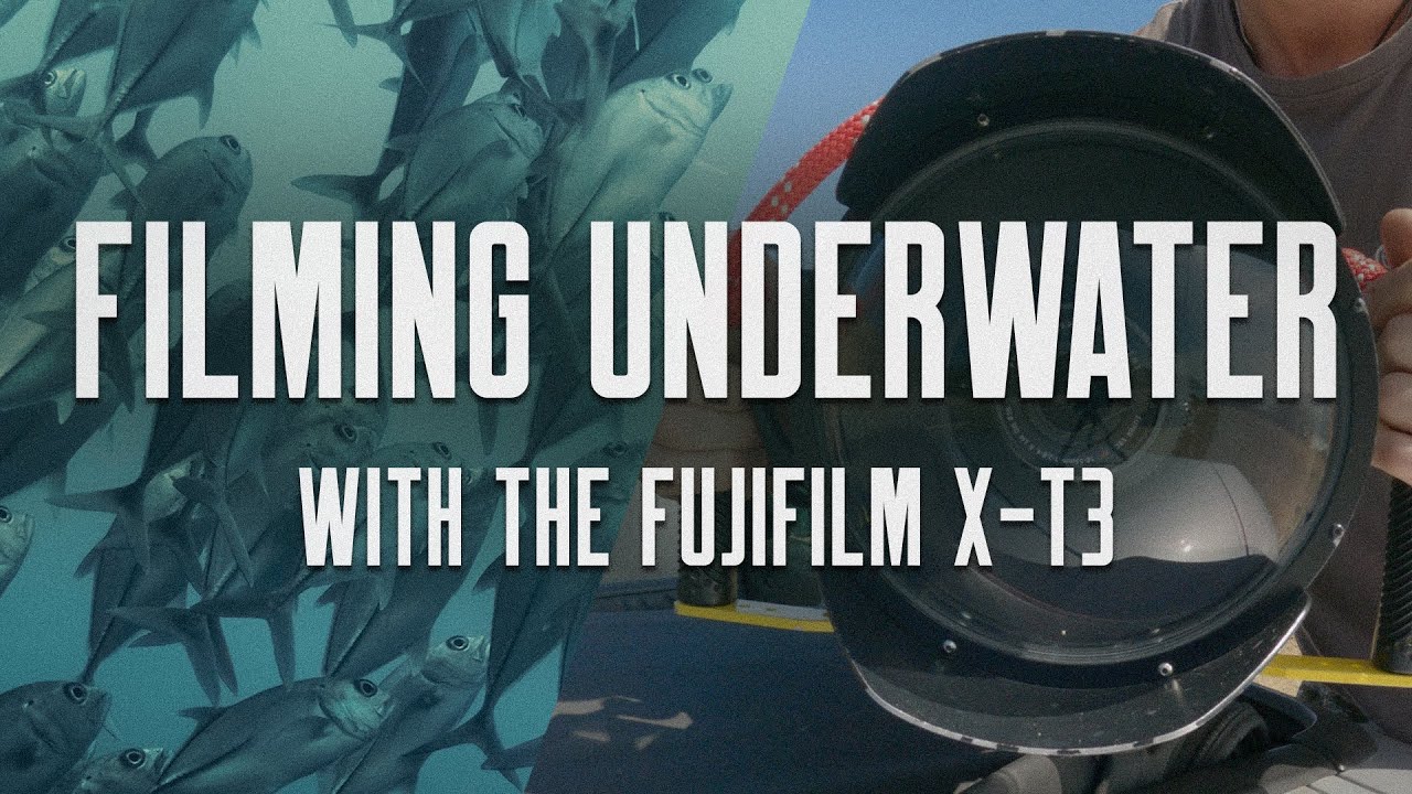Taking the Fujifilm X-T3 Underwater (Malibu, CA)