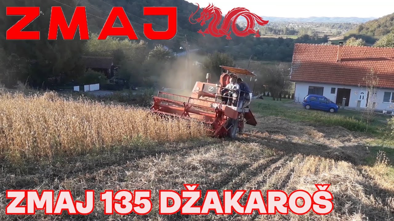 Sat vremena kombajniranja! Zmaj 135 džakaroš-vršaj soje 2020-selo Krivajica